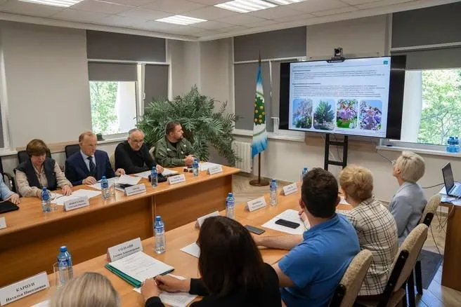 Специалисты считают, что трахикарпус, павловния, буддлея и пуэрария не должны попадать в список агрессивных растений Краснодарского края и требуют пересмотра критериев оценки.