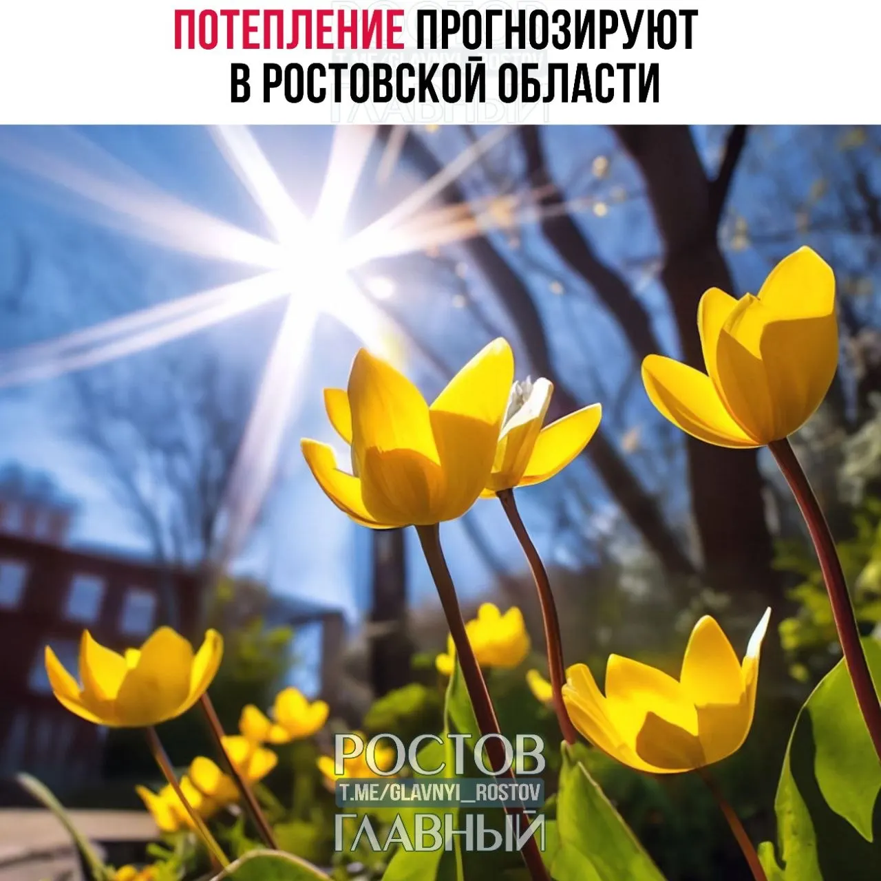 Днём 10 мая в Ростовской области ожидается +23…+28 °C, местами до +32 °C; ночью похолодает до +9…+17 °C. В регионе уже объявлено штормовое предупреждение.
