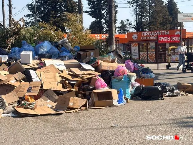 Мэрия заключила муниципальный контракт: подрядчику предстоит очистить заваленные мусором контейнерные площадки Хостинского района до конца ноября.