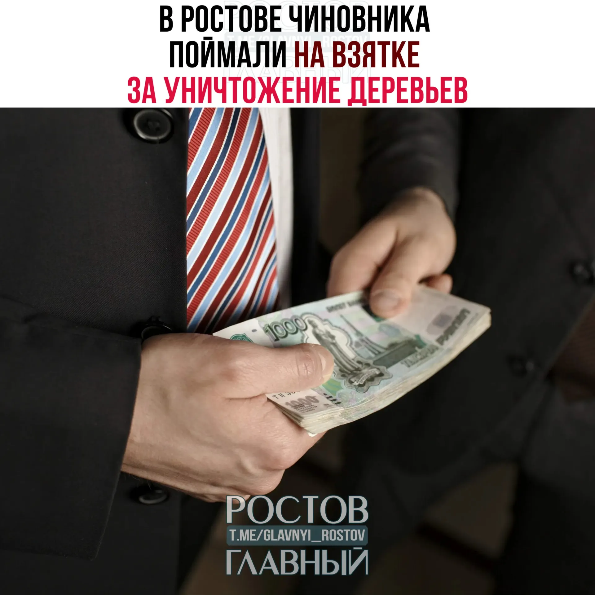 Чиновник требовал 700 тыс. рублей за разрешение на незаконную вырубку деревьев на муниципальном участке; при передаче первой части взятки задержали посредника и дающего.