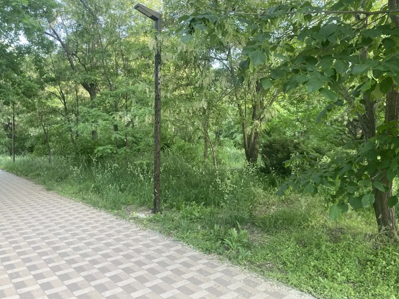 Парк в Краснооктябрьском районе подвергается критике: заросшие конструкции, сломанные качели и отсутствие ухода. По оценке руководства ДК, на приведение территории в порядок требуется как минимум 300 тысяч рублей.