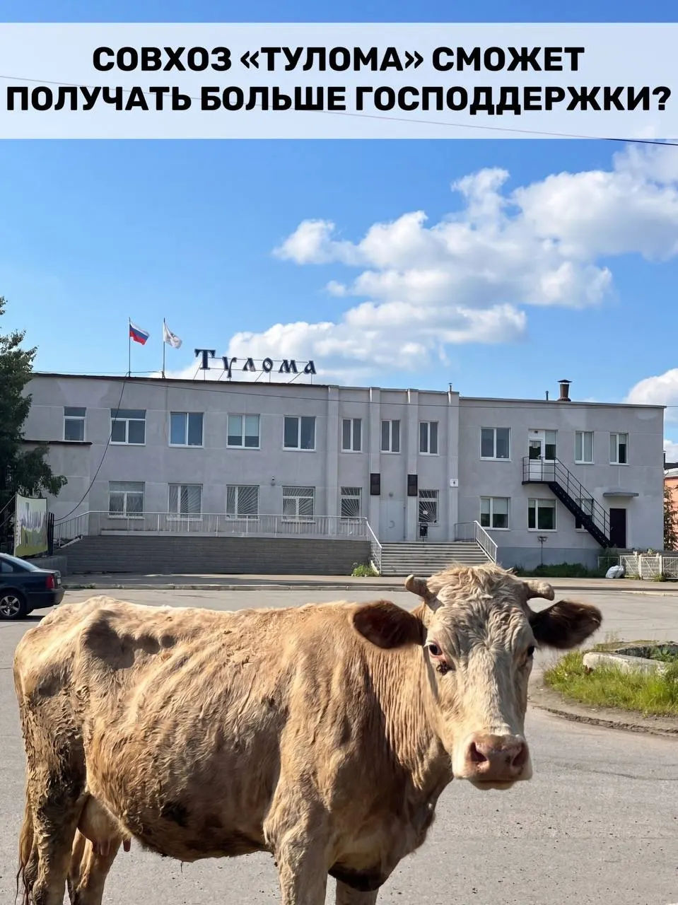 Минсельхоз расширил критерии доступа к субсидиям: поддержку теперь смогут получать и хозяйства с долей государства или муниципалитета свыше 25%. Для Мурманской области это важно, но критическое состояние совхоза «Тулома» ставит под вопрос своевременность помощи.