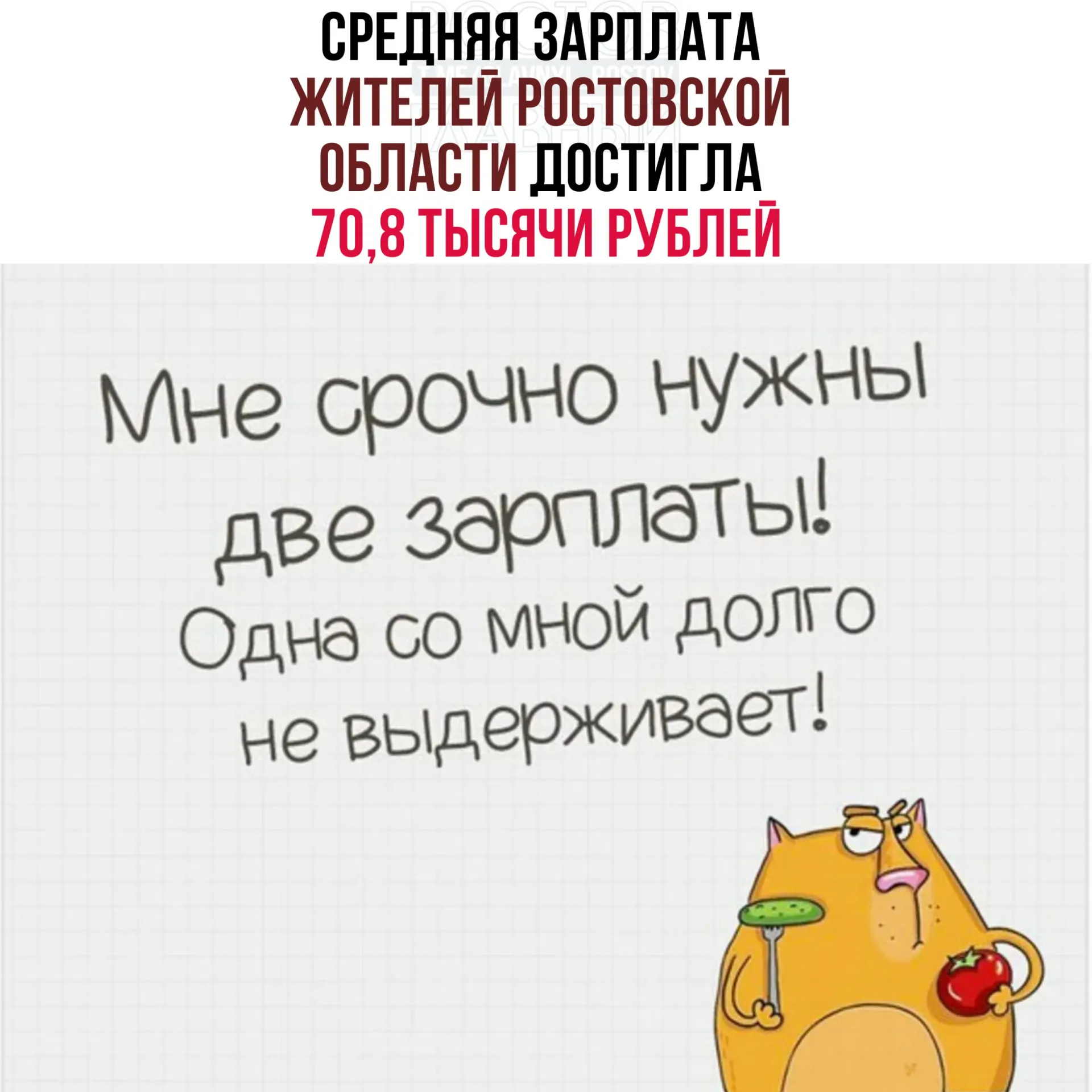 В 2025 году средняя начисленная зарплата в Ростовской области составила 70,8 тысячи рублей (рост 13,9% к прошлому году). Среднедушевые денежные доходы населения выросли на 15,3% до 64,4 тысячи рублей.
