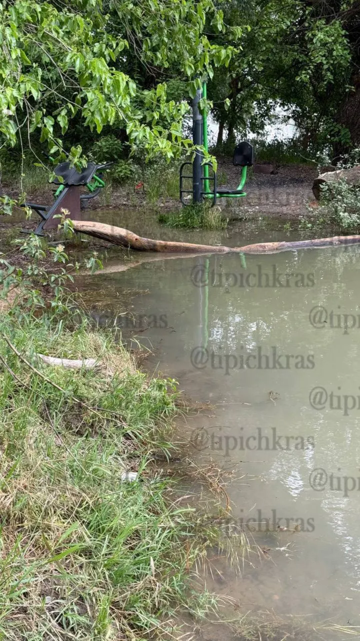 Пляж, открытый два года назад на берегу реки Кубань, частично ушёл под воду: подтоплены береговая полоса и расположенные выше тренажёры. В проект вложили около 10 млн рублей.