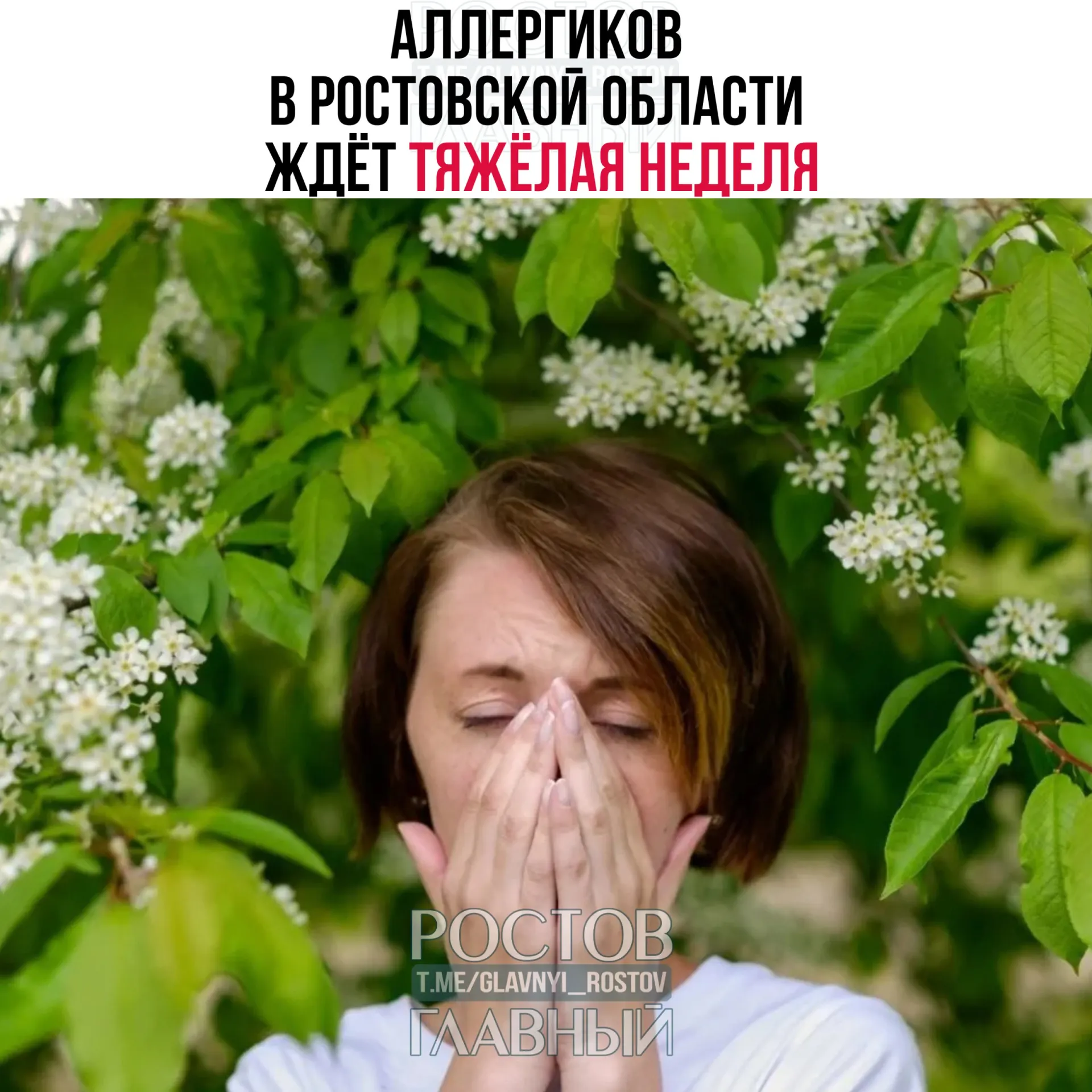 Врачей предупреждают о повышении концентрации аллергенов: аллергикам советуют ограничить пребывание на улице, носить медицинские маски и поддерживать влажность в помещениях.