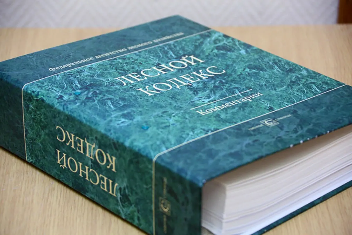 С момента принятия в 2006 году Лесной кодекс претерпел 79 комплектов поправок, последний из которых вступит в силу в сентябре. Эксперт считает, что кодекс устарел и требует полной замены и упрощения.