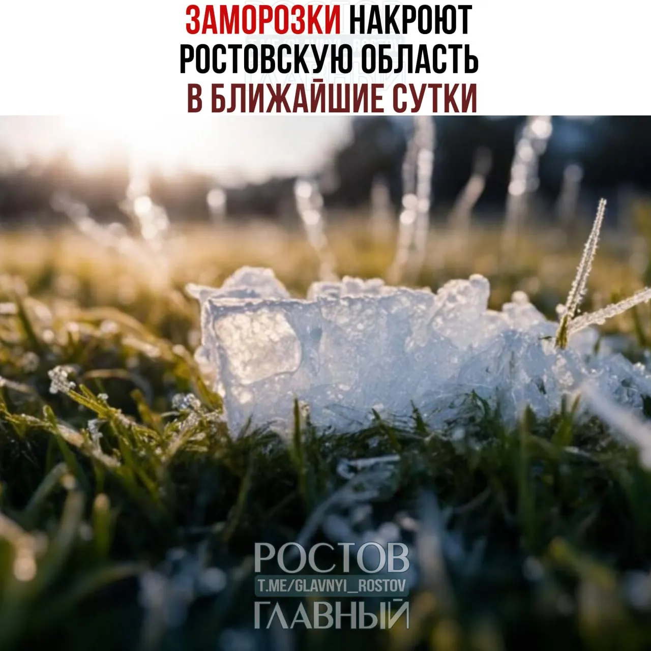 Во второй половине ночи и утром 29 мая в отдельных районах Ростовской области возможны заморозки в воздухе и на поверхности почвы — от −1° до −2°.