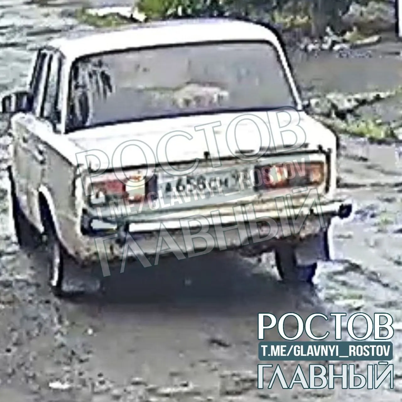 Днём в Батайске мужчина срезал пионы под корень и загружал их в автомобиль. Свидетель указал номер машины: А658СН, 93 регион.