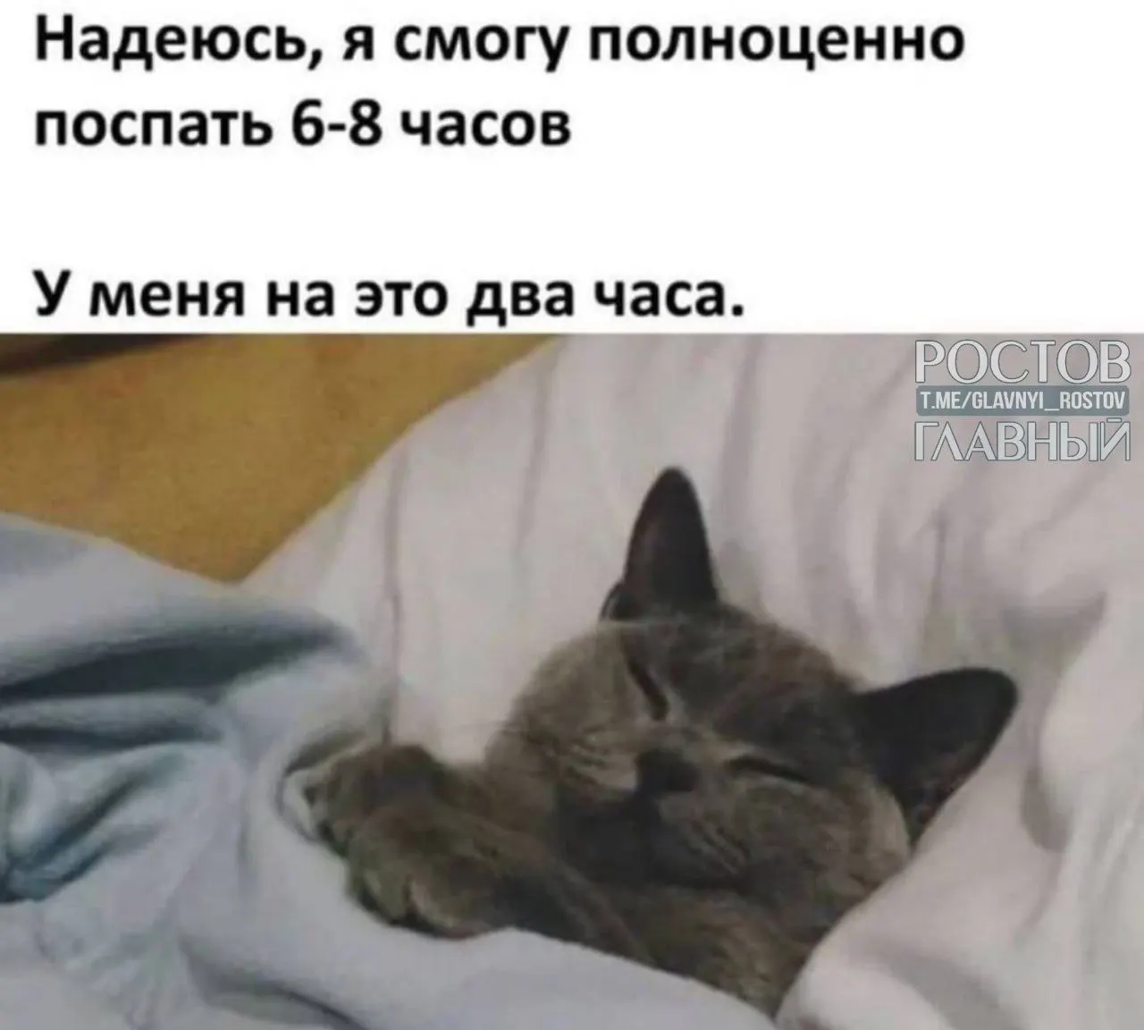 Туристы выбирают Подмосковье, юг России, Ленобласть, Кавминводы и Алтай — ищут места без связи и интернета, чтобы отдохнуть и отключиться от внешнего мира.