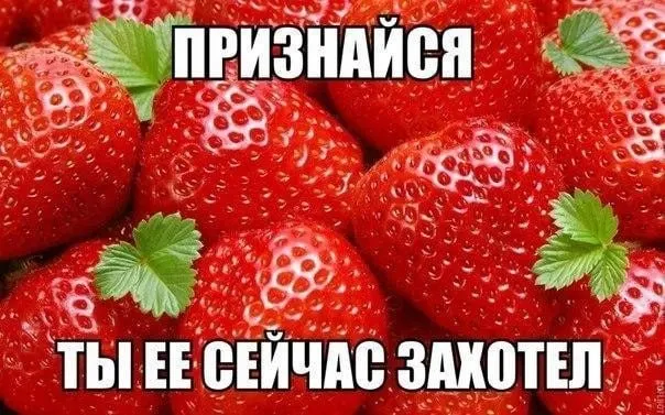 Ярмарки переходят на летний режим: торговать будут с 8:00 до 15:00. В продаже — свежие овощи, фрукты, ягоды, зелень и хлеб; скоропортящиеся продукты продаваться не будут.