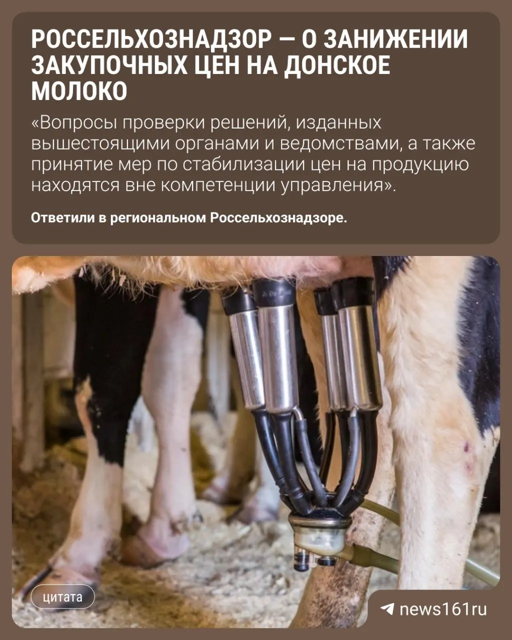 Аграрии Ростовской области жалуются на заниженные закупочные цены на молоко. В ведомстве сообщили, что регулирование цен не относится к их полномочиям; падение цен связывают с ограничениями на вывоз и проблемой по пастереллёзу.
