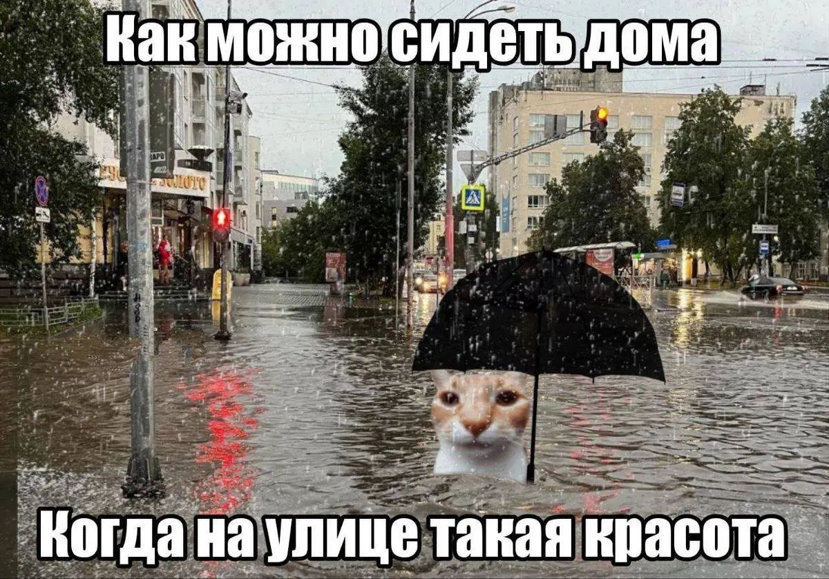 Азорский антициклон, принесший аномальную жару в Европу, смещается к берегам Чёрного моря. В Краснодаре на неделе ожидается до +26 °C.