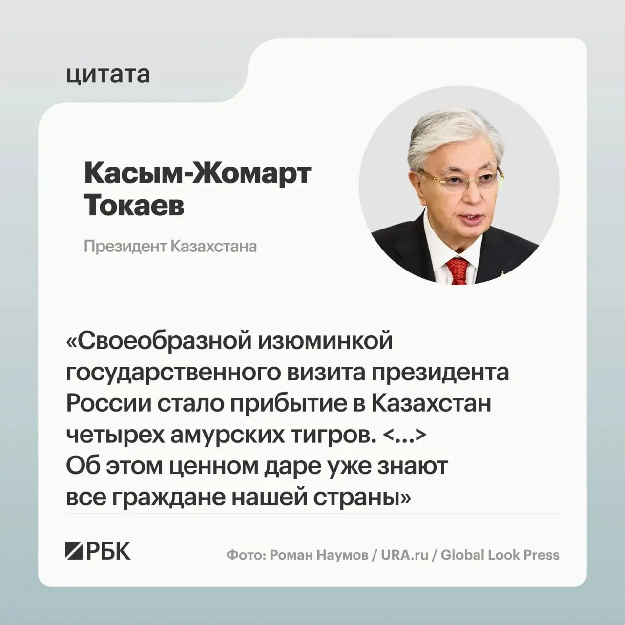 Путину и Токаеву показали презентацию о передаче тигров: Казахстан обратился с просьбой помочь в возрождении вида, Россия откликнулась.