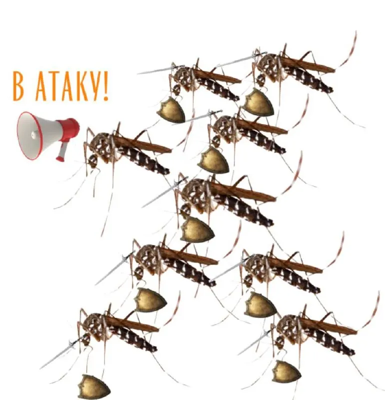 Тёплая зима и ранняя весна привели к массовому вылуплению комаров: вспышки насекомых отмечают в Ленинградской, Волгоградской, Тюменской и Нижегородской областях.
