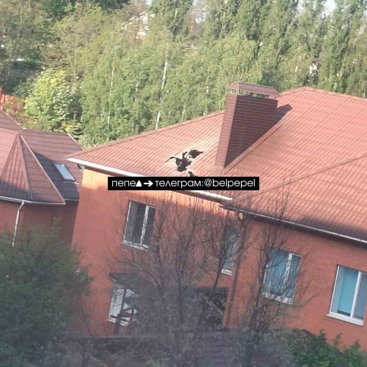 Рано утром в посёлке Дубовое Белгородского округа на частный дом упала авиабомба. Власти сообщили о гибели мужчины; ранее другая бомба повредила железнодорожный путь, что привело к сходу поезда.