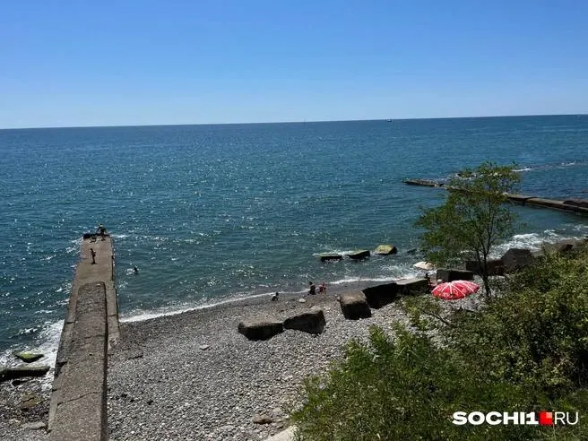С начала года ведомство исследовало почти 2,5 тысячи проб морской воды в акватории Сочи и не выявило отклонений от гигиенических требований.