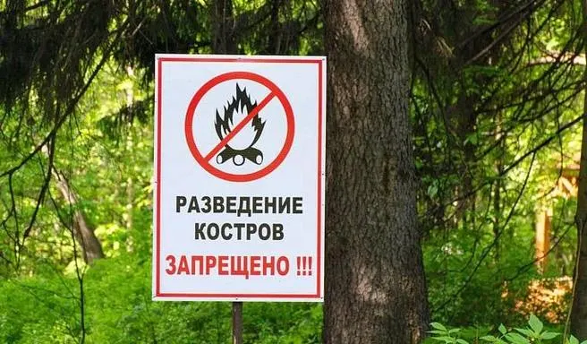 В Сочи введён особый режим: разведение костров и приготовление шашлыков запрещены, за соблюдением следят специальные мониторинговые группы.