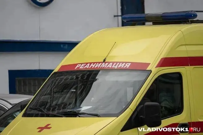 Во время бытовой ссоры в Сочи мужчина ударил свою сожительницу ножом в спину; пострадавшая выжила и получила помощь, проводится проверка.