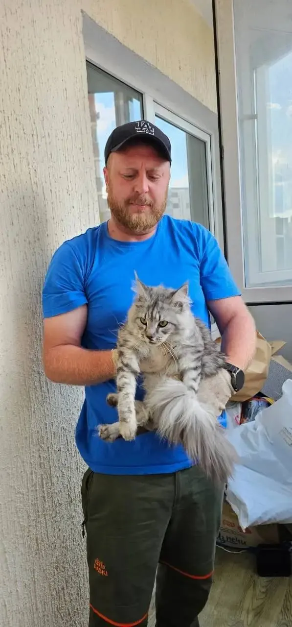 Спасатели сняли кота, который упал с окна шестого этажа и застрял на выступе третьего, после чего вернули животное хозяйке.