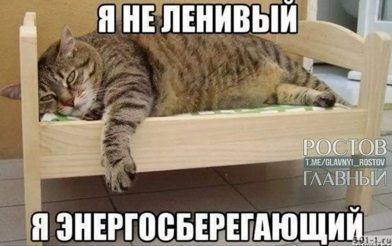 Опрос показал, что жители Нижнего Новгорода, Перми и Воронежа чаще других поддерживают сокращение рабочего дня до шести часов; в Санкт-Петербурге больше тех, кто не хочет работать, а на юге — больше трудоголиков.
