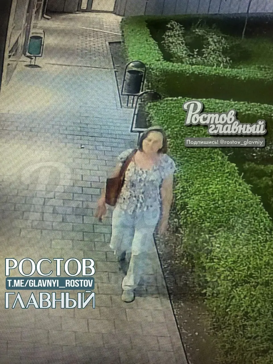 Очевидцы сообщают, что у торгового центра на улице 50-летия Ростсельмаша похитили куст. Жителям предлагают вернуть растение добровольно, в противном случае обещают передать материалы в правоохранительные органы.