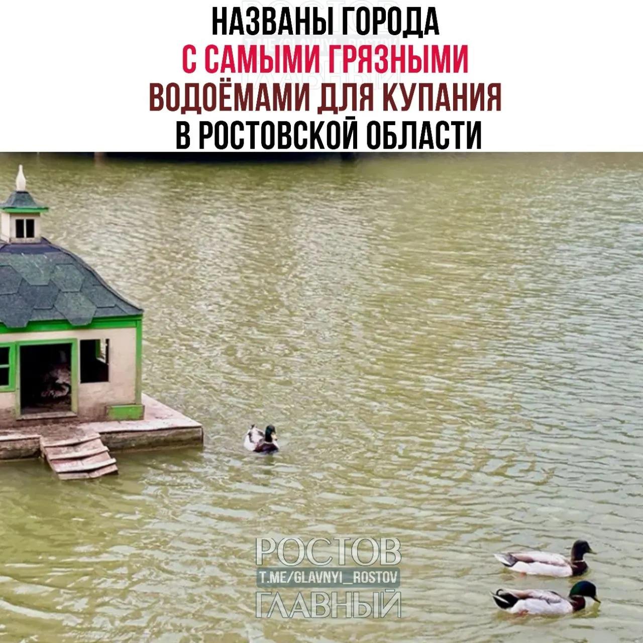 По микробиологическим показателям лидирует Азов — 87% проб признаны неблагополучными; далее идут Батайск, Шахты, Ростов и Гуково. По санитарно‑химии больше всего нарушений зафиксировано в Ростове.