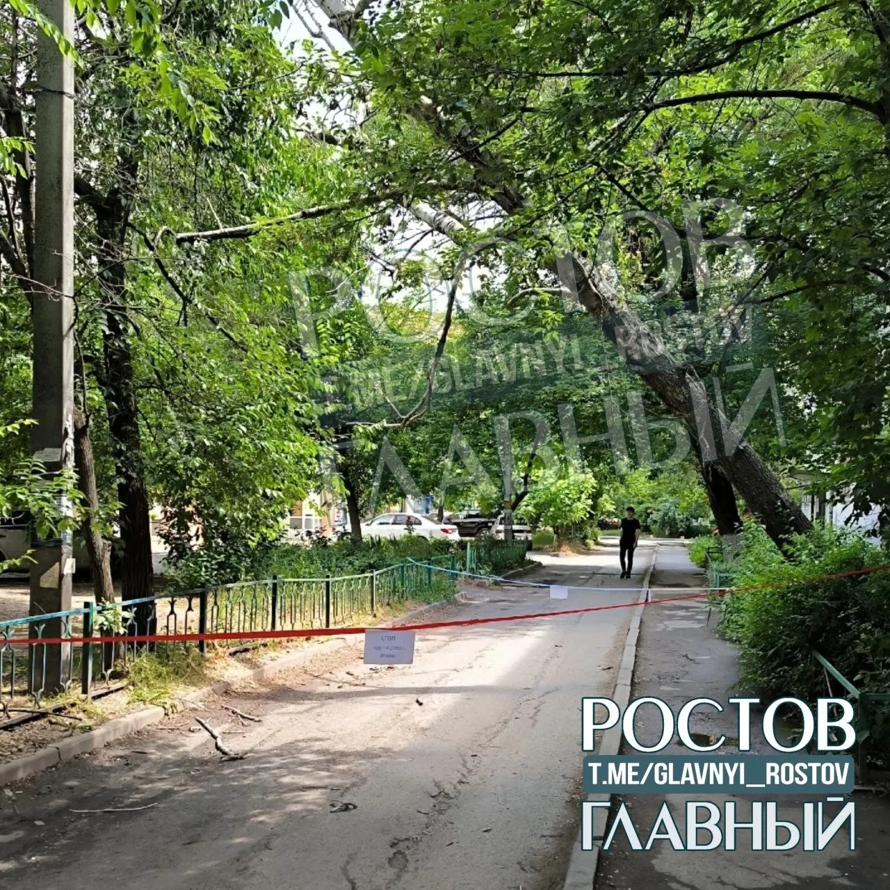 Около 00:40 дерево упало на Волкова, 7/4. Жильцы ранее просили признать его аварийным, но реакции не последовало. Сейчас оно с корнями вырвано из земли и держится на проводах — службы пока не устранили угрозу.