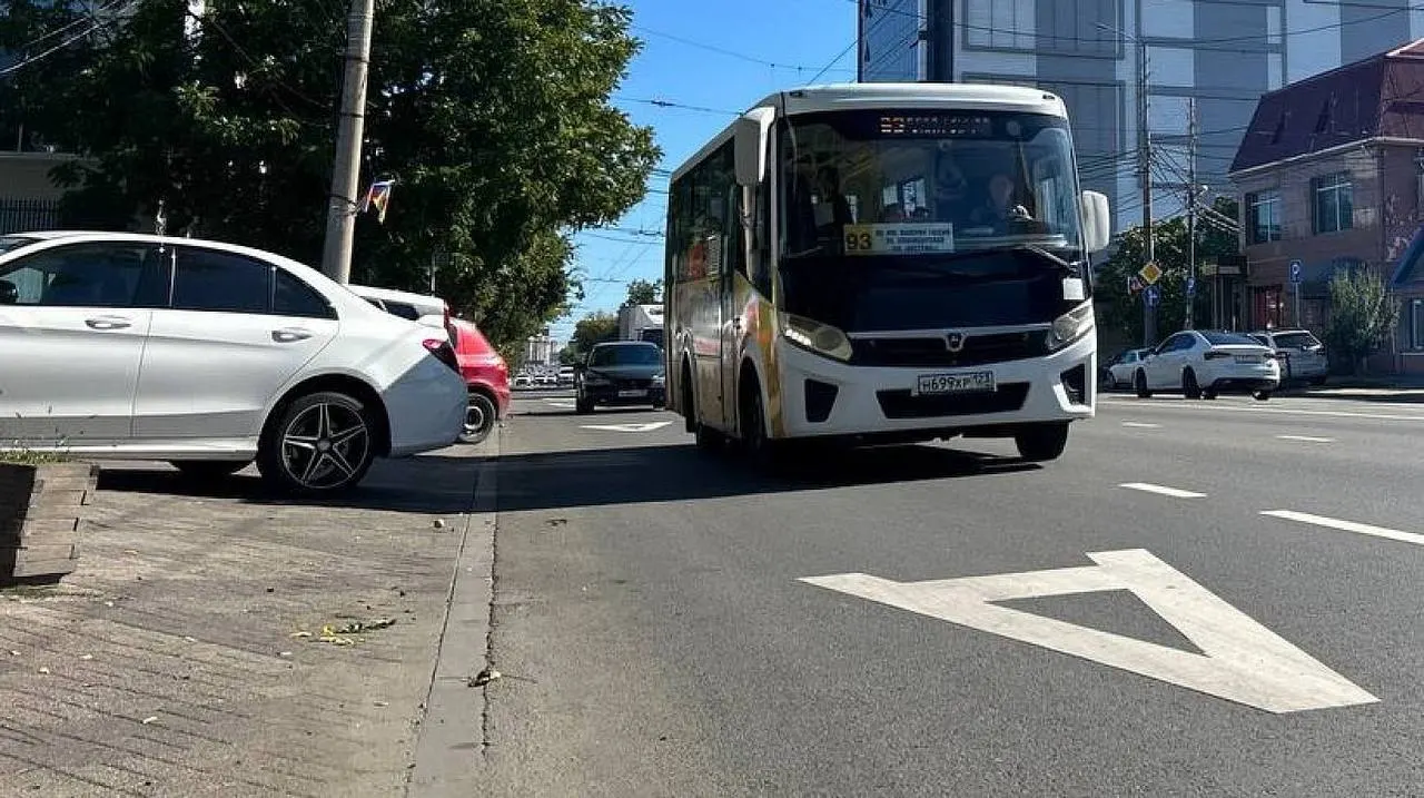 Городские власти планируют обустроить 1,35 км выделенных полос от улицы Ломоносова до улицы Передовой в обоих направлениях; дорожную разметку уже приводят в соответствие с новой схемой, изменения вступят в силу в ближайшие дни.