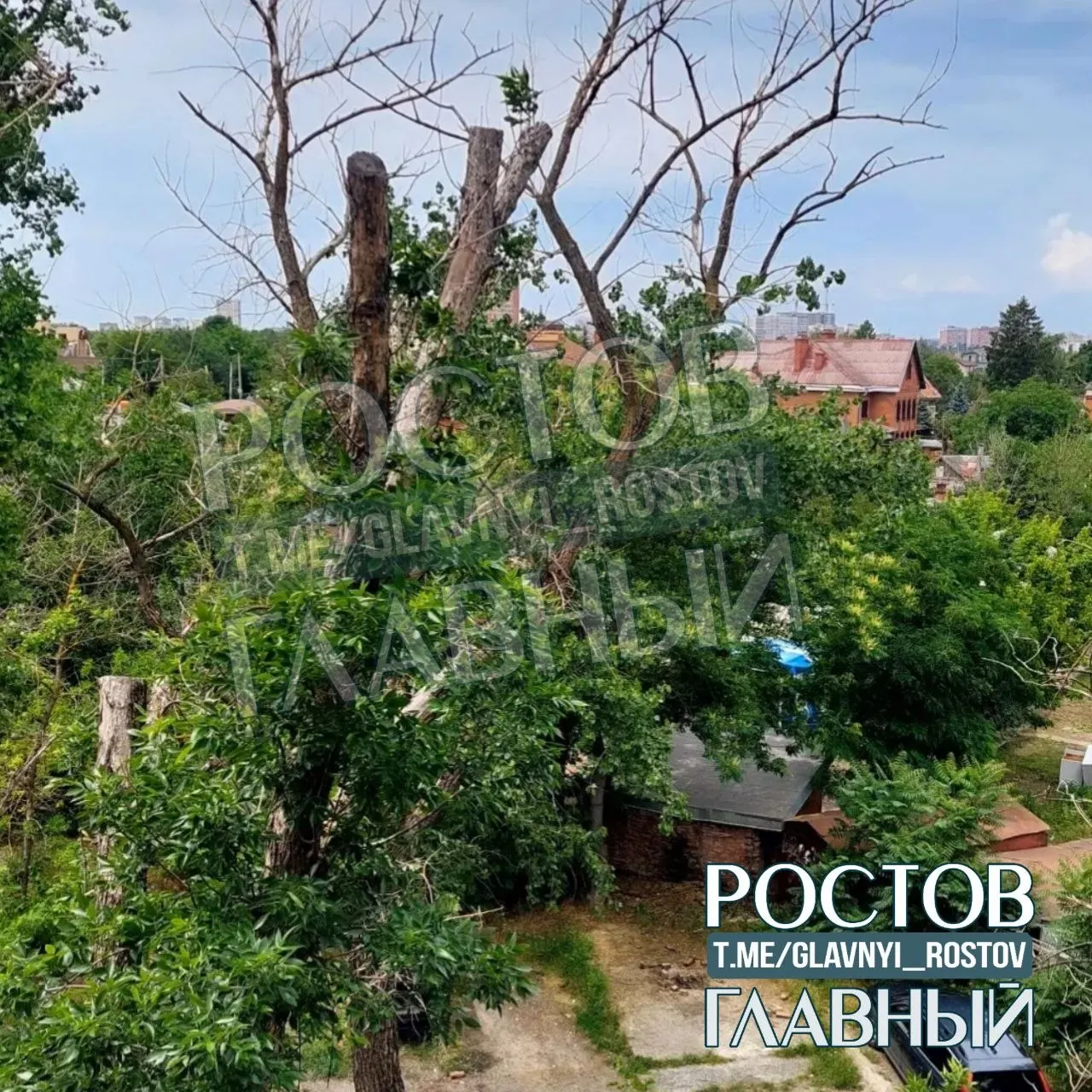 Во дворе дома на Рабочей площади, 6 жильцы заметили, что обрезанные два года назад деревья продолжают высыхать. Люди опасаются за безопасность машин и детей и просят коммунальные службы отреагировать.