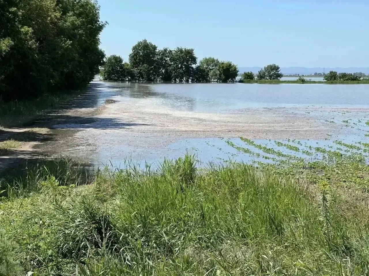После прорыва дамбы в Крымском районе Краснодарского края подтоплено примерно 3,5 тыс. га, в том числе более 2,5 тыс. га сельхозугодий. Введён режим ЧС, продолжаются работы по укреплению берега и ликвидации последствий.