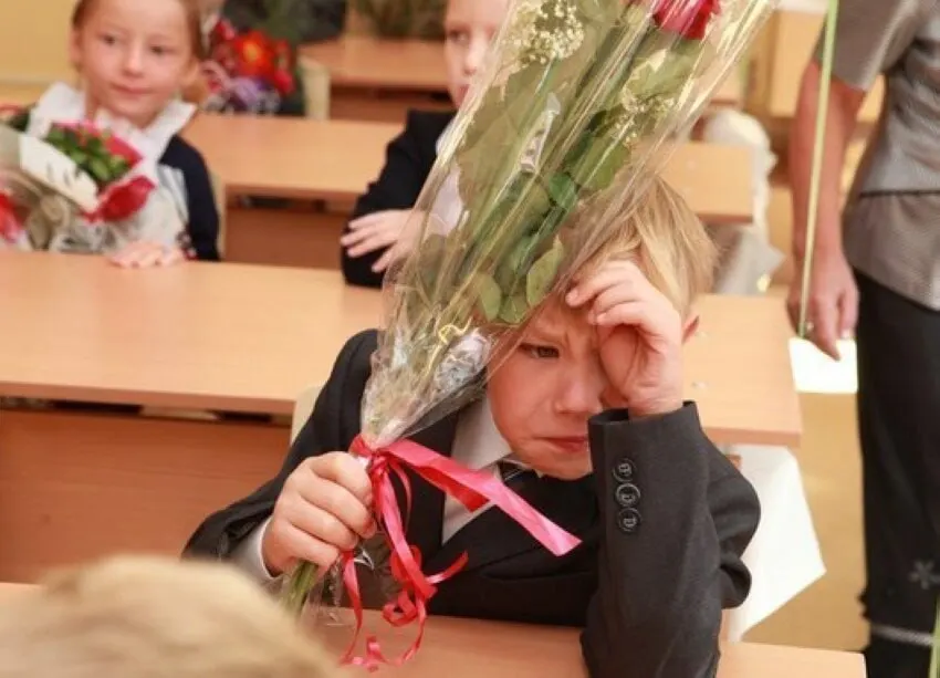 Заместитель министра просвещения заявил, что 11-летний срок школьного образования считается оптимальным; ни о сокращении, ни о продлении сейчас речи не идёт, а стандарты будут строиться с расчётом на 11 классов.