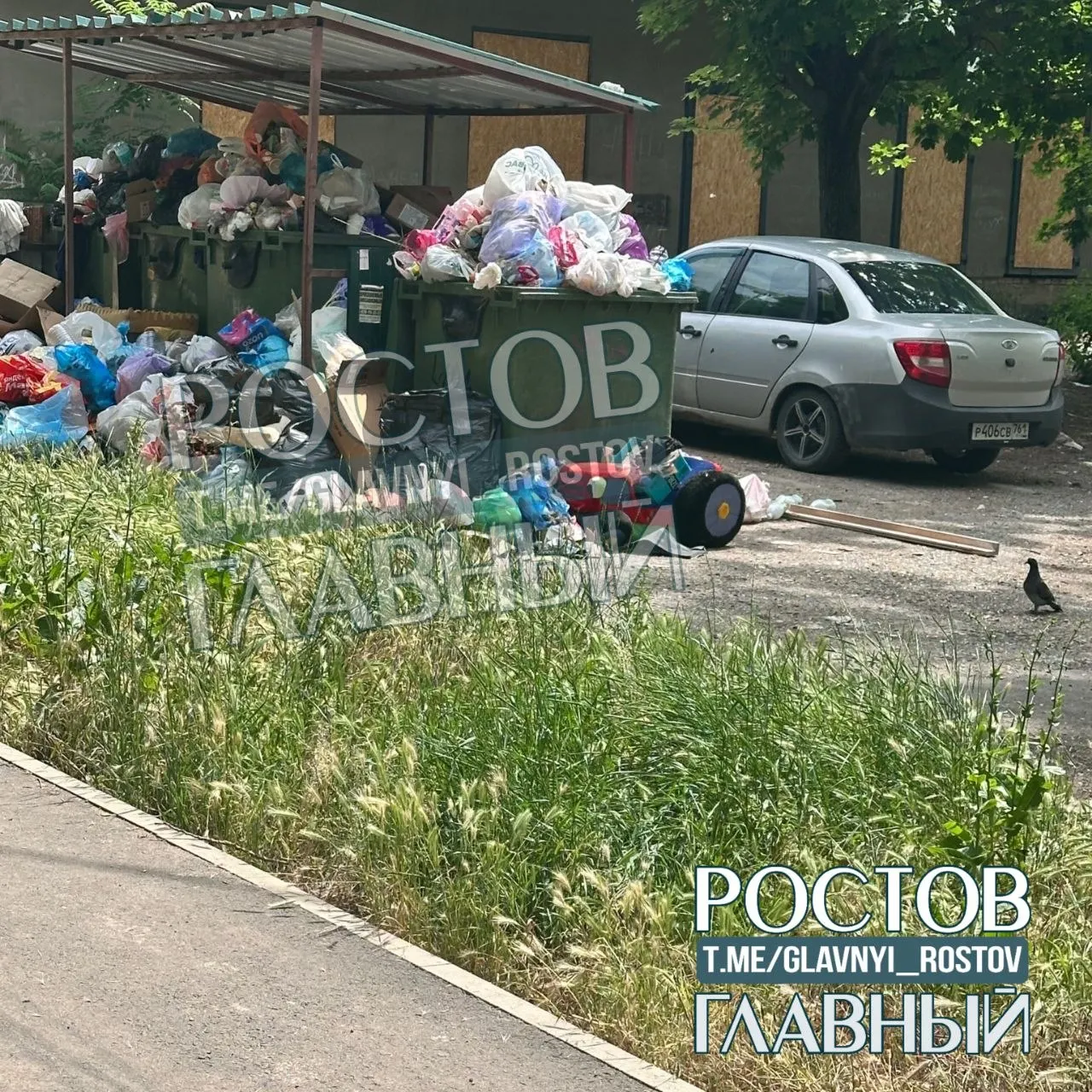 Жители Октябрьского района жалуются, что муниципальная территория у дома №8 заросла и превратилась в свалку; просят городские службы провести уборку и выяснить, кто отвечает за участок.
