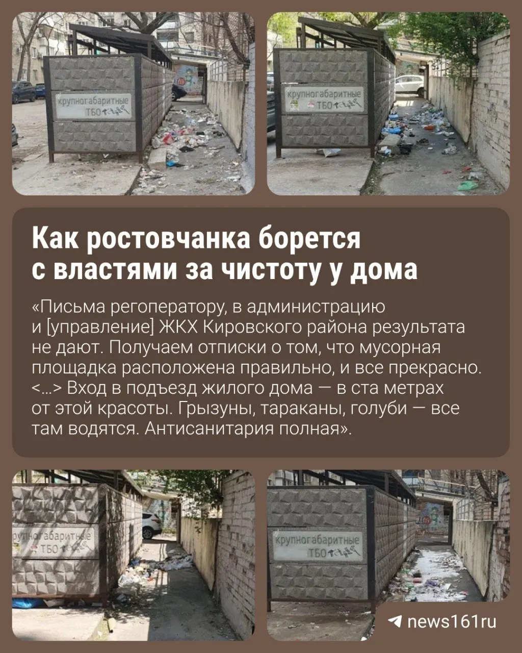 Жительница Ростова пишет в регоператор и администрацию, но получает формальные ответы — мусор вокруг контейнеров не убирают, из‑за накоплений появились грызуны и насекомые.
