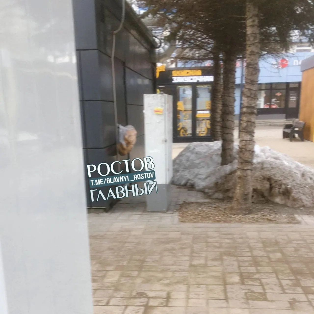 Жительница Ростова-на-Дону заметила, что возле точки с шаурмой на улице оставляют хлебобулочные изделия прямо на тротуаре. Горожане переживают из‑за пыли и сомнительной гигиены.