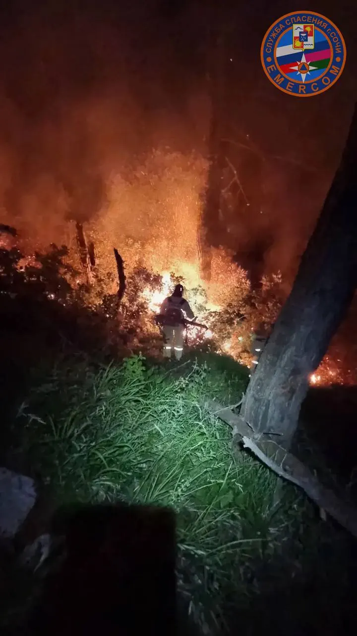 В Лазаревском районе около села Солоники с вечера продолжается лесной пожар. Тушение не завершено, сведения о пострадавших и причинах возгорания уточняются.