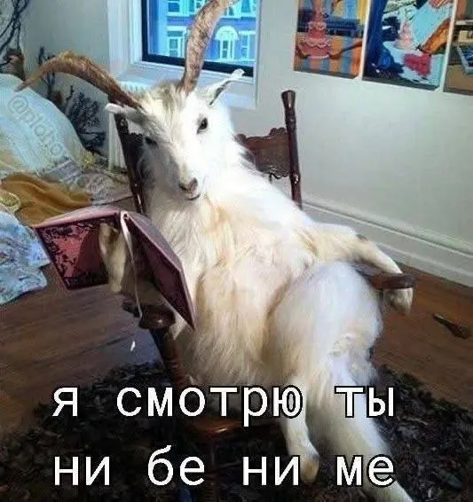 8 июня в Ростове ожидается сухая и тёплая погода — до +28 °C, без ветра и осадков. Завтра возможен дождь.