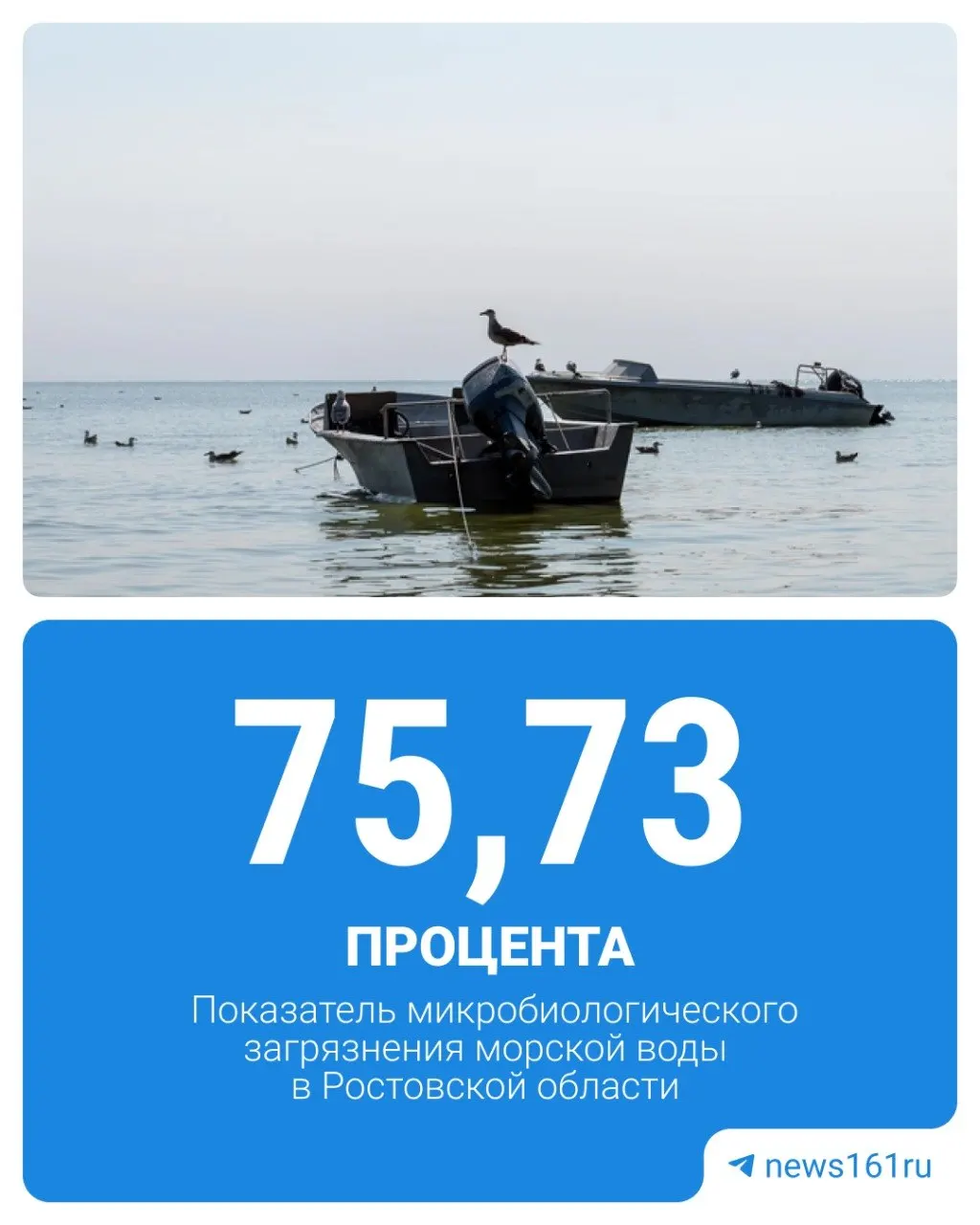 По данным Роспотребнадзора, 75,73% проб на побережье Таганрогского залива в 2025 году не соответствовали санитарным нормам — три из четырёх.