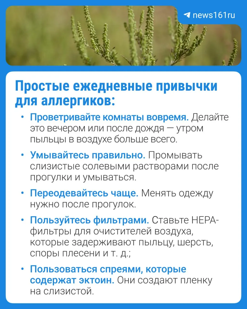 Ростовская область входит в тройку регионов с высоким запылением сорными травами. Пик — с конца июля до октября: амброзия и полынь дают три волны цветения. Врач объясняет симптомы и рекомендует современные подходы к лечению.