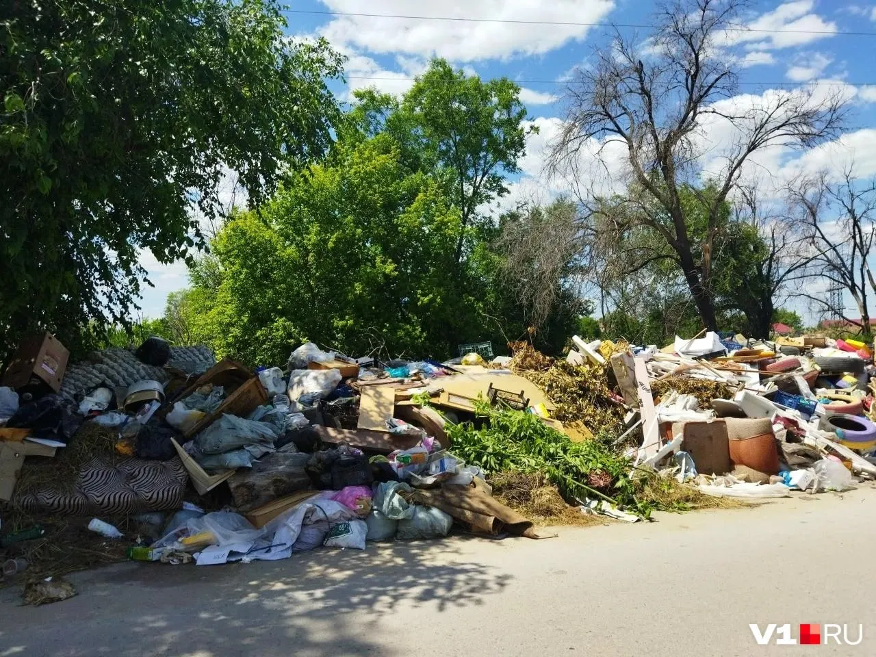 Мусорный холм возле бывшего магазина на Никопольской регулярно возвращается и создаёт запах, мешает пешеходам и водителям. Экологи требуют системного решения, власти обещают очередную зачистку.