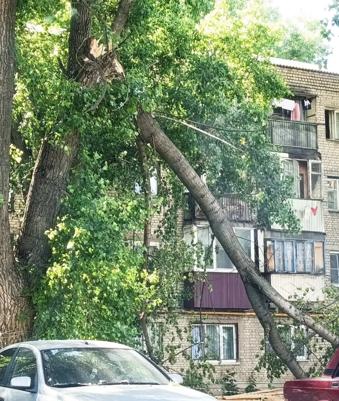 Крупный кусок ствола у дома №35 на улице Торпедо свисает над тротуаром более двух недель. Службы ограничились сигнальной лентой, жители боятся, что ветка может рухнуть на прохожих или автомобили.