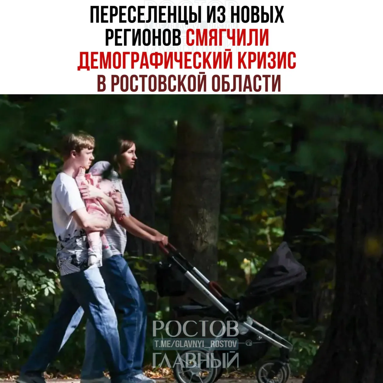 Учёные установили, что приток переселенцев из ДНР, ЛНР, Херсонской и Запорожской областей частично компенсировал сокращение численности населения Ростовской области. При этом миграция, меры поддержки и урбанизация продолжают влиять на демографическую картину региона.