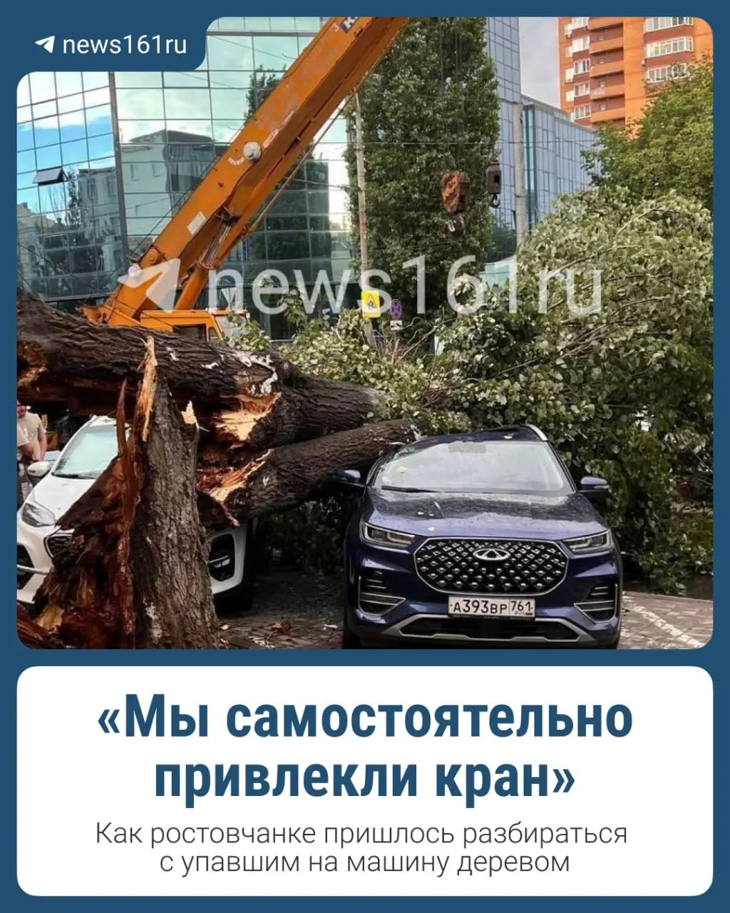 26 июня в Ростове-на-Дону после сильного ливня и града рухнули 37 деревьев и веток. Один человек пострадал, а на улице Красноармейской большое старое дерево упало на несколько автомобилей — одну машину сильно повредило.