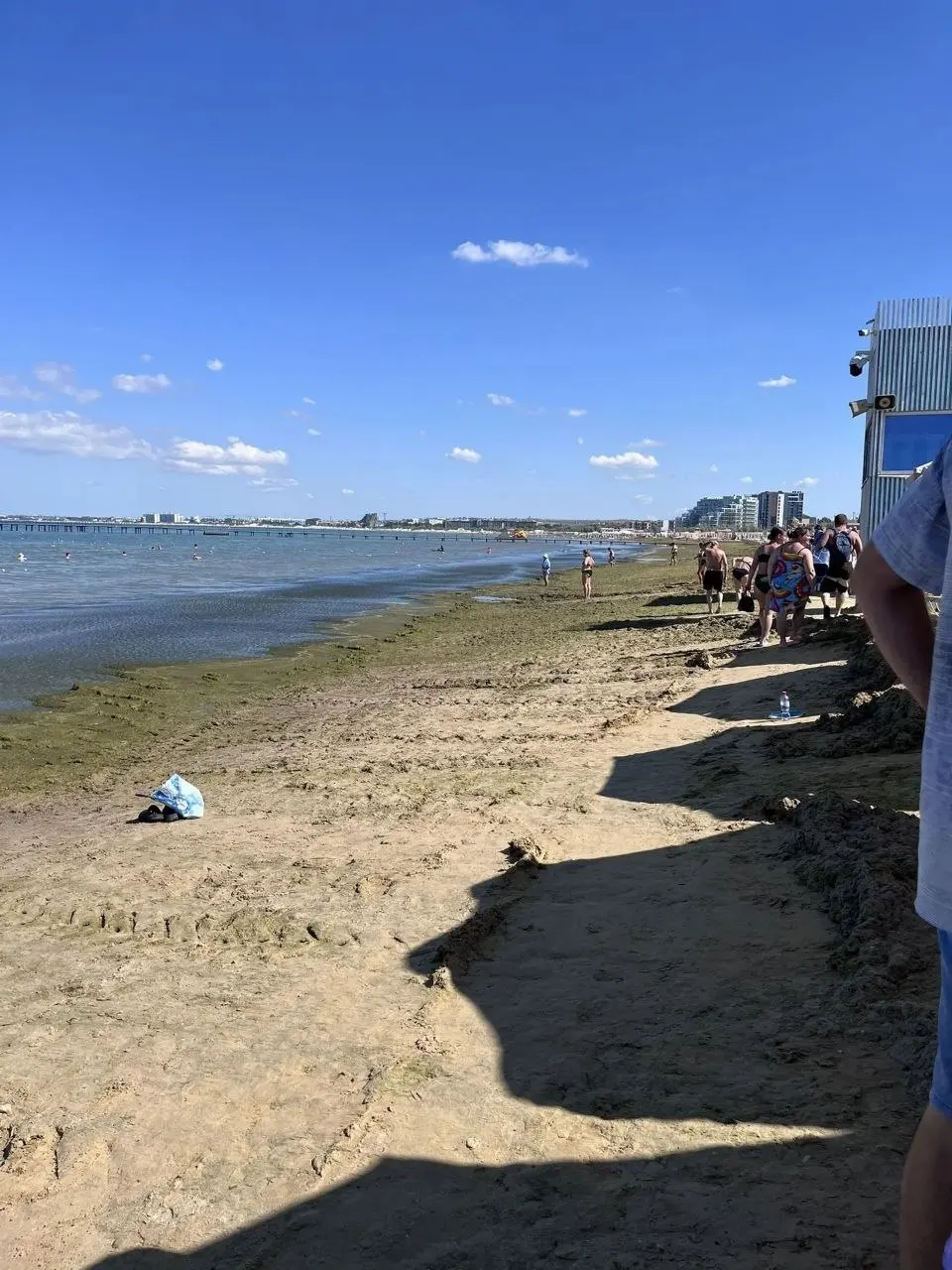 На центральном пляже Анапы на берег выбросило зеленые водоросли — камку. На других участках, например на Лечебном пляже, обстановка лучше, и там можно купаться.