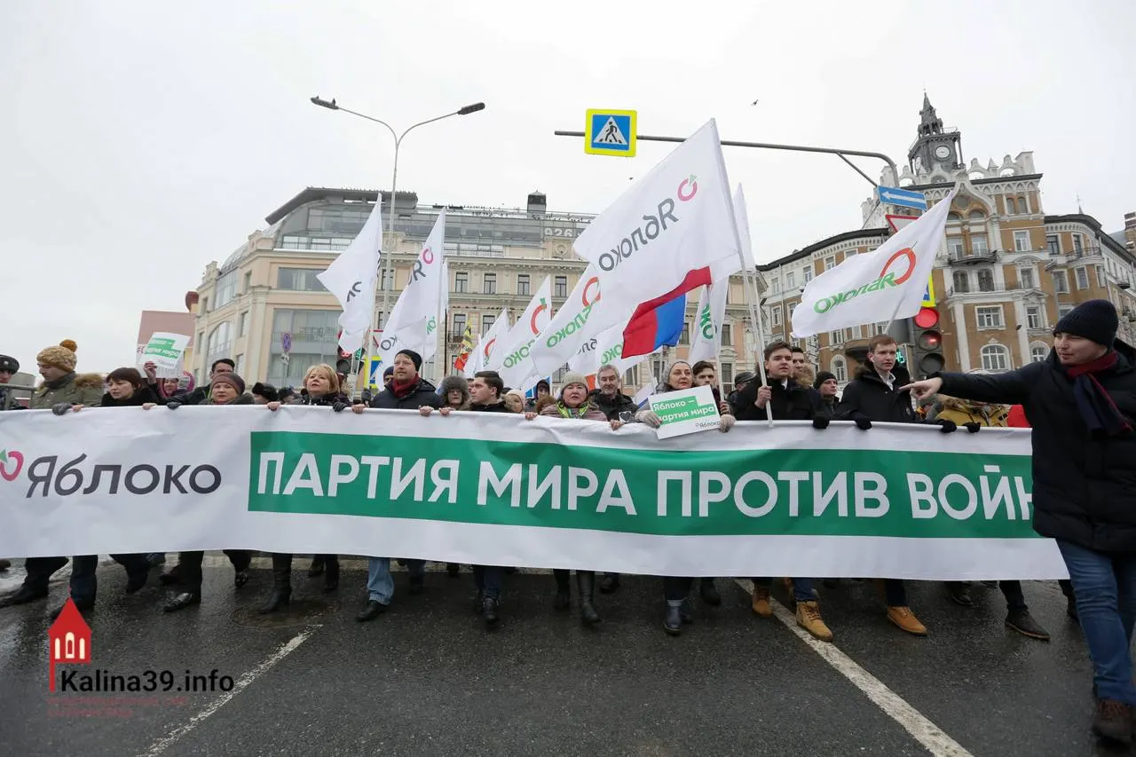 Регистрация федерального списка «Яблока» на выборах в Госдуму вызывает вопросы: власти, по версии экспертов, могли позволить участие партии, чтобы направить протестные настроения в безопасное русло. При этом многих известных активистов лишили права баллотироваться.