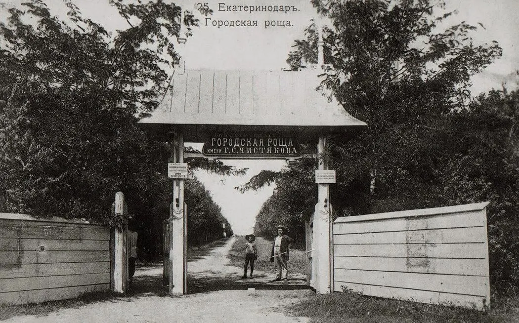 Архивные фотографии показывают, как выглядела Чистяковская роща в прошлом: по преданию первое дерево посадил Гавриил Чистяков, а другие растения высадили школьники и учащиеся учительской семинарии.