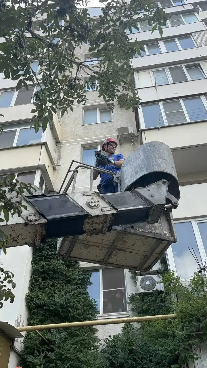 Очевидцы сообщили спасателям о маленьком котёнке на карнизе третьего этажа. При помощи автовышки животное сняли — котёнок цел и в безопасности.