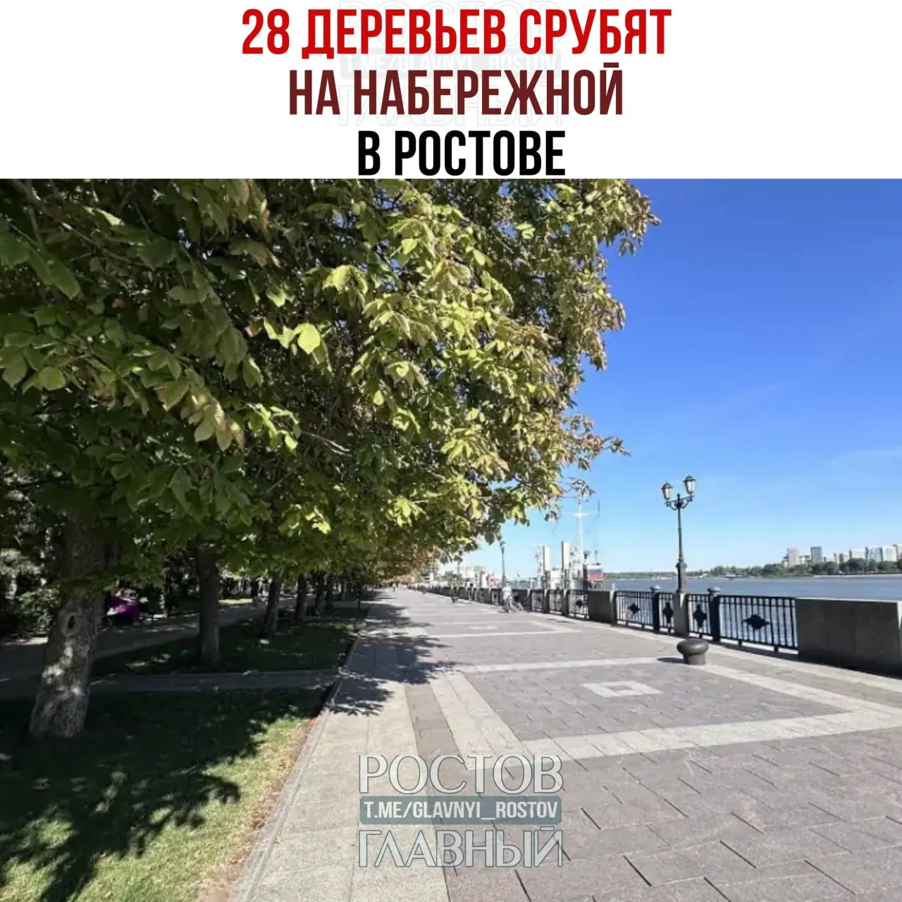 Управление благоустройства объявило конкурс на удаление ветхих деревьев и обрезку тополей на улице Береговой: требуется спилить 28 деревьев и обрезать 77 тополей.