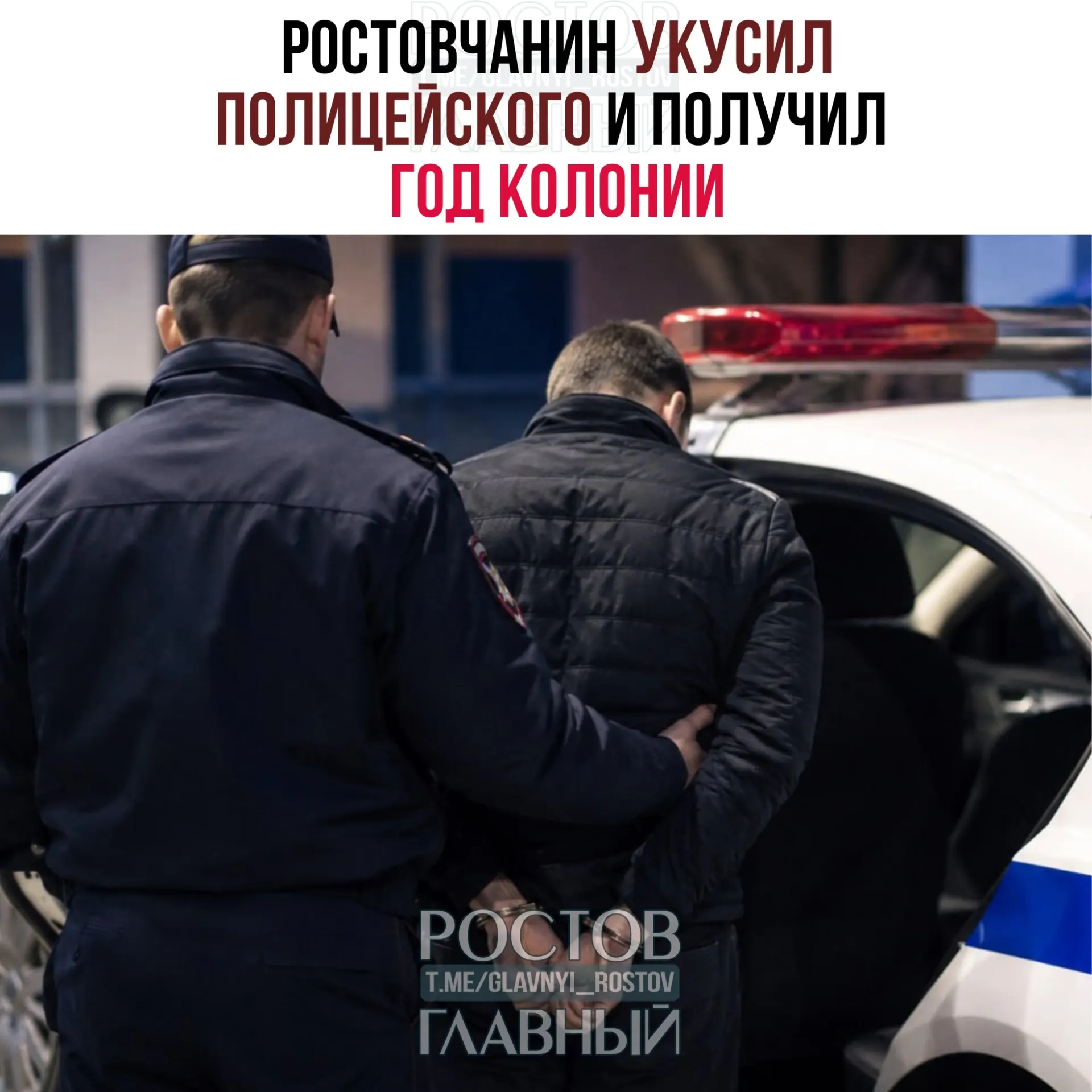 Во время задержания в январе 2025 года нетрезвый мужчина укусил полицейского в бедро и ударил его; суд приговорил его к одному году колонии‑поселения.