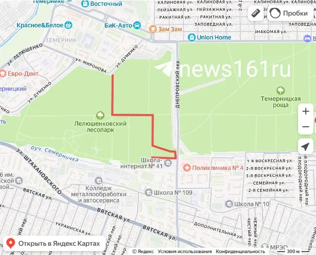 Прошло почти неделя после урагана, а в лесопарке всё ещё лежат поваленные деревья: толстые брёвна висят на проводах, дорожки завалены. Жители жалуются и просят ускорить расчистку, отмечают ещё проблемы с доступностью на новых переходах и лестницах.