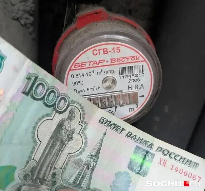 Долг жителей Сочи перед городским водоканалом составляет почти 270 миллионов рублей. Больше всего неплательщиков — в Центральном районе (7 204 человека).